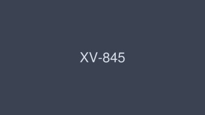 XV-845 MAX GIRLS 29 [쇼츠야동,섹트야동,국산야동,혼딸야동]