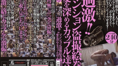 SINO-221 Radical! ! Mansion Voyeur Picture Scroll Couples Who Deepen Love 2 [쇼츠야동,섹트야동,국산야동,혼딸야동]